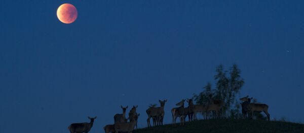 Lua vista em um monte na Bielorrússia - Sputnik Brasil