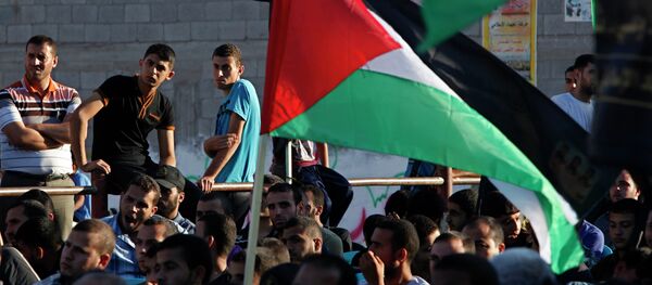 Manifestantes com bandeiras da Palestina - Sputnik Brasil