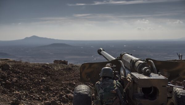 Soldado sírio observa território na província de Quneitra - Sputnik Brasil