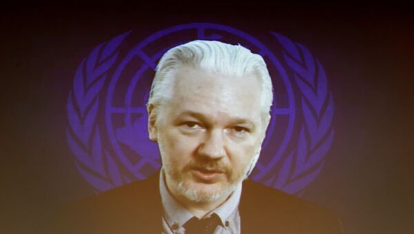 Julian Assange, fundador do WikiLeaks, fala via Internet durante a sessão do Conselho de Direitos Humanos da ONU, 23 de março de 2015 - Sputnik Brasil