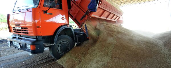 Colheita de trigo na região de Rostov, na Rússia Colheita de trigo na região de Rostov, na Rússia - Sputnik Brasil