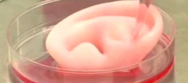 Orelha humana criada artificialmente por impressora 3D - Sputnik Brasil