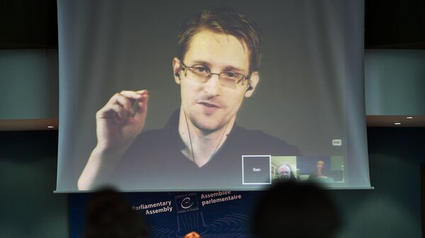 NSA former intelligence contractor Edward Snowden talks as he participates via video link from Russia (Above) to a parliamentary hearing on the subject of Improving the protection of whistleblowers, held by Dutch rapporteur Pieter Omtzigt (Bottom C) on June 23, 2015, at the Council of Europe in Strasbourg, northeastern France. - Sputnik Brasil
