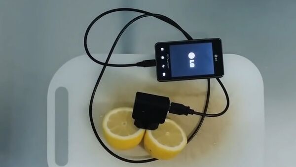 How to charge your phone with lemon .lemon phone charger - Sputnik Brasil