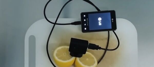 How to charge your phone with lemon .lemon phone charger - Sputnik Brasil