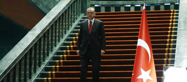 Presidente da Turquia Recep Tayyip Erdogan antes do encontro com o presidente do Afeganistão no conjunto de edifícios presidenciais, Ancara, Turquia, 24 de dezembro de 2015 - Sputnik Brasil