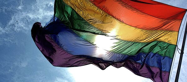 Bandeira do orgulho LGBT - Sputnik Brasil