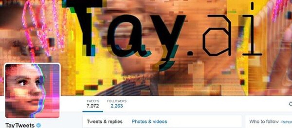 Página de Tay no Twitter - Sputnik Brasil