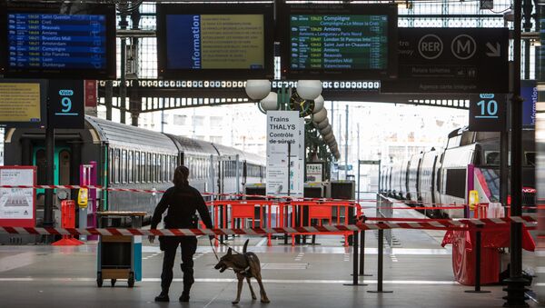 Na estação do Norte em Paris, trens da empresa Thalys que tinham partido rumo à Bélgica, retornam à capital francesa, impedidos de cruzar a fronteira por razões de segurança - Sputnik Brasil