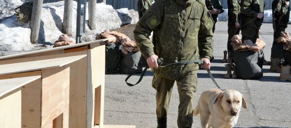 Sapadores russos preparam-se para a desminagem de Palmira no Centro Internacional de Desminagem em Nakhabino, região de Moscou, Rússia, 29 de março de 2016 Sapadores russos preparam-se para a desminagem de Palmira no Centro Internacional de Desminagem em Nakhabino, região de Moscou, Rússia, 29 de março de 2016 - Sputnik Brasil