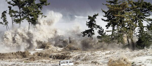 Tsunami - Sputnik Brasil