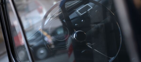 Volante de um carro - Sputnik Brasil