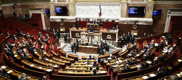 Assembleia Nacional em Paris, 3 de novembro, 2015 - Sputnik Brasil