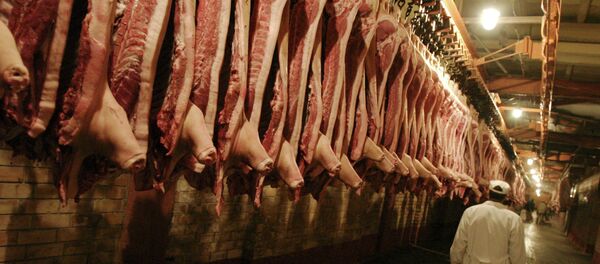 Carcaças de carne no frigorífico - Sputnik Brasil