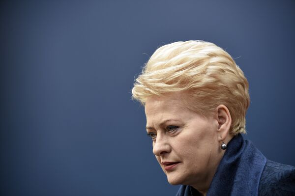 Presidente da Lituânia admite presença de F-22 dos EUA no país - Sputnik Brasil