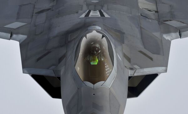 Um piloto olha para cima de uma caça americana Raptor F-22 - Sputnik Brasil