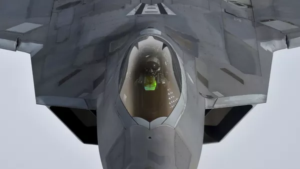 Um piloto olha para cima de uma caça americana Raptor F-22 - Sputnik Brasil