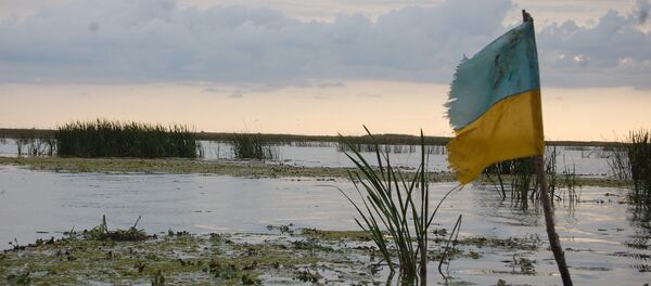 Swamp in Ukraine - Sputnik Brasil