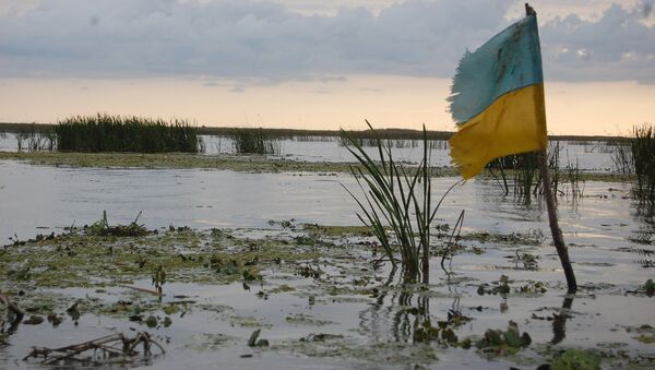 Swamp in Ukraine - Sputnik Brasil