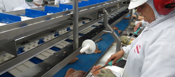 Produção da indústria volta a cair - Sputnik Brasil