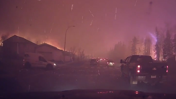 Fortes incêndios florestais atingem a província de Alberta, no Canadá - Sputnik Brasil