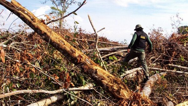Operação do Ibama contra o desmatamento na Amazônia (imagem referencial) - Sputnik Brasil