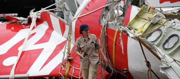 Investigadora analisa parte da cauda do AirAsia QZ8501 Investigadora analisa parte da cauda do AirAsia QZ8501 - Sputnik Brasil