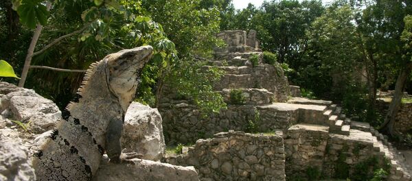 Parque ecológico de México - Sputnik Brasil
