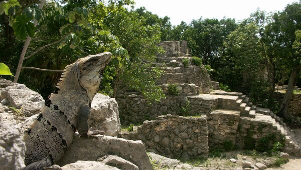 Parque ecológico de México - Sputnik Brasil