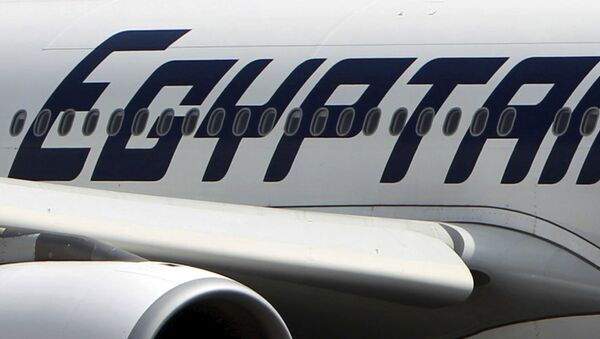 An EgyptAir plane is seen on the runway at Cairo Airport, Egypt in this September 5, 2013 file photo - Sputnik Brasil