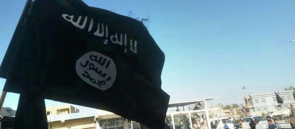 Militants from the al-Qaida-inspired Islamic State of Iraq and the Levant (ISIL) celebrate the group's declaration of an Islamic state, in Fallujah, (65 kilometers) west of Baghdad, Iraq. (File) - Sputnik Brasil