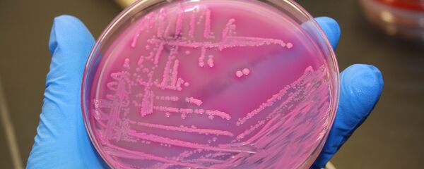 a bactéria E. coli - Sputnik Brasil