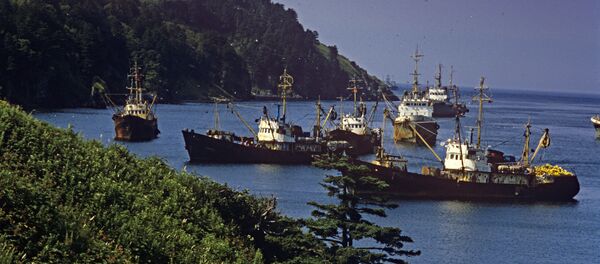 Vista pela ilha Shikotan, ilhas Curilhas, Rússia - Sputnik Brasil