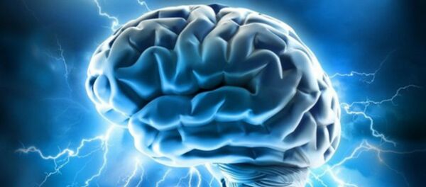 cérebro - Sputnik Brasil