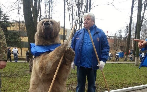 Urso Stepan - Sputnik Brasil