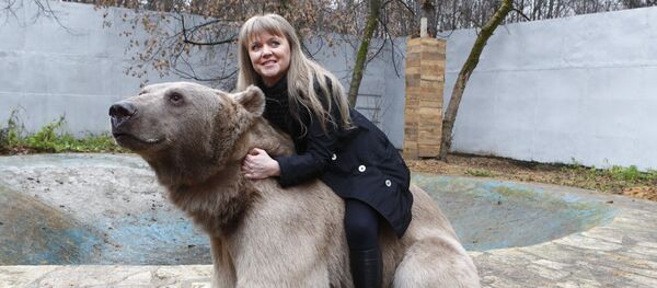 Urso Stepan vive no parque Losiny Ostrov - Sputnik Brasil