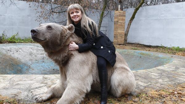 Urso Stepan vive no parque Losiny Ostrov - Sputnik Brasil