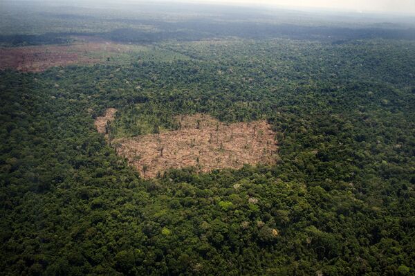 Como contribuição do Brasil seria fundamental para evitar 'Armagedom climático'? - Sputnik Brasil
