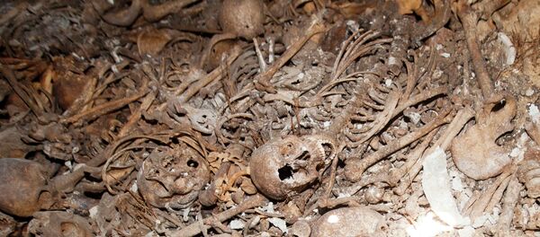 Skeletons - Sputnik Brasil