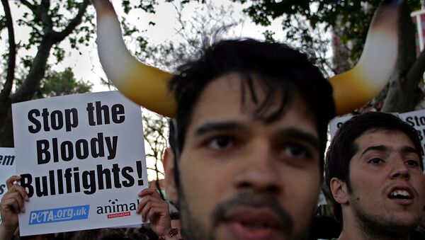 Um homem participa, junto com um cartaz que diz: Parem as malditas touradas, de uma manifestação contra touradas em Lisboa, após a inauguração da arena do Campo Pequeno, em 18 de maio de 2006. Dez anos depois, o solitário holandês Peter Jansson fará suas irrupções contra touradas - Sputnik Brasil