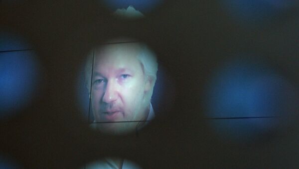 Julian Assange participou em formato vídeo do Fórum Internacional da Mídia em 7 de junho de 2016 - Sputnik Brasil