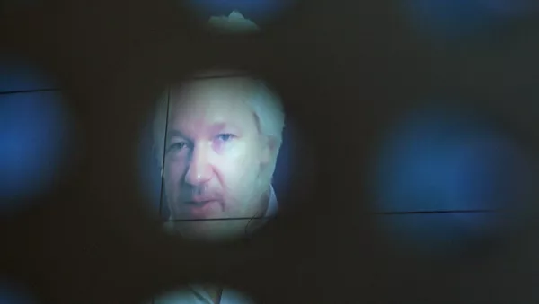 Julian Assange participou em formato vídeo do Fórum Internacional da Mídia em 7 de junho de 2016 - Sputnik Brasil