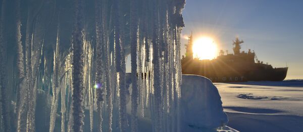 Missão de desbravamento no Ártico - Sputnik Brasil