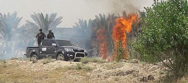 Devastação em Faluja - Sputnik Brasil