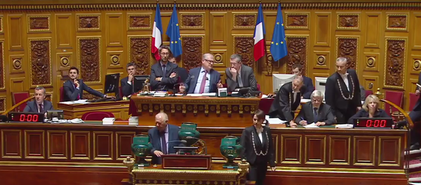 Sanctions anti-russes: le Sénat français adopte la résolution européenne - Sputnik Brasil