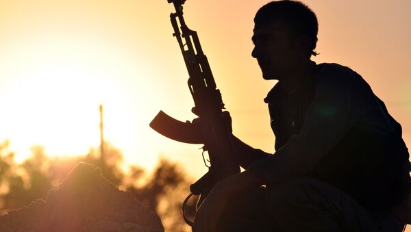 Membro de milícias curdas na cidade síria Ain Issi, 50 km ao norte de Raqqa - Sputnik Brasil
