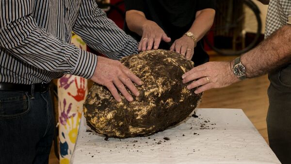 Um pedaço de manteiga de 10 kg, que provavelmente já terá dois mil anos - Sputnik Brasil