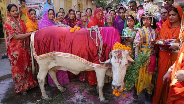 Hindus vestidos como Senhor Krishna e Radha se reúnem durante uma Gho Puja - adoração da vaca - por ocasião da Gopal Ashtami em Jodhpur em 19 de Novembro de 2015. - Sputnik Brasil
