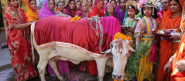 Hindus vestidos como Senhor Krishna e Radha se reúnem durante uma Gho Puja - adoração da vaca - por ocasião da Gopal Ashtami em Jodhpur em 19 de Novembro de 2015. - Sputnik Brasil