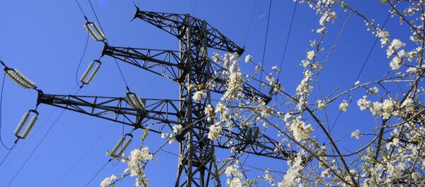 Linha de transmição da energia elétrica - Sputnik Brasil